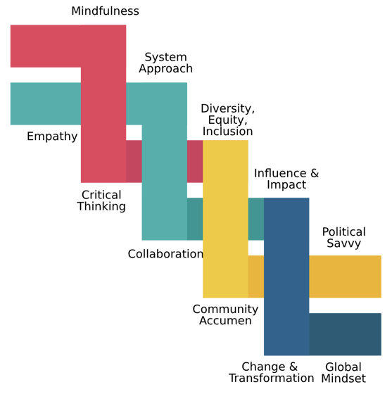 Leadership Competency Framework DNA